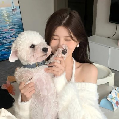 早安总统